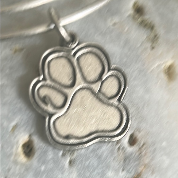 Alex and Ani Silver Tone Paw Print Medallion Charm Adjustable Wire Bracelet - Picture 2 of 6